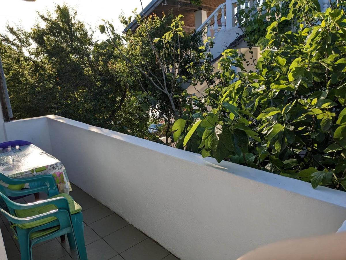 Цвета Hotel Sinemoretz Luaran gambar